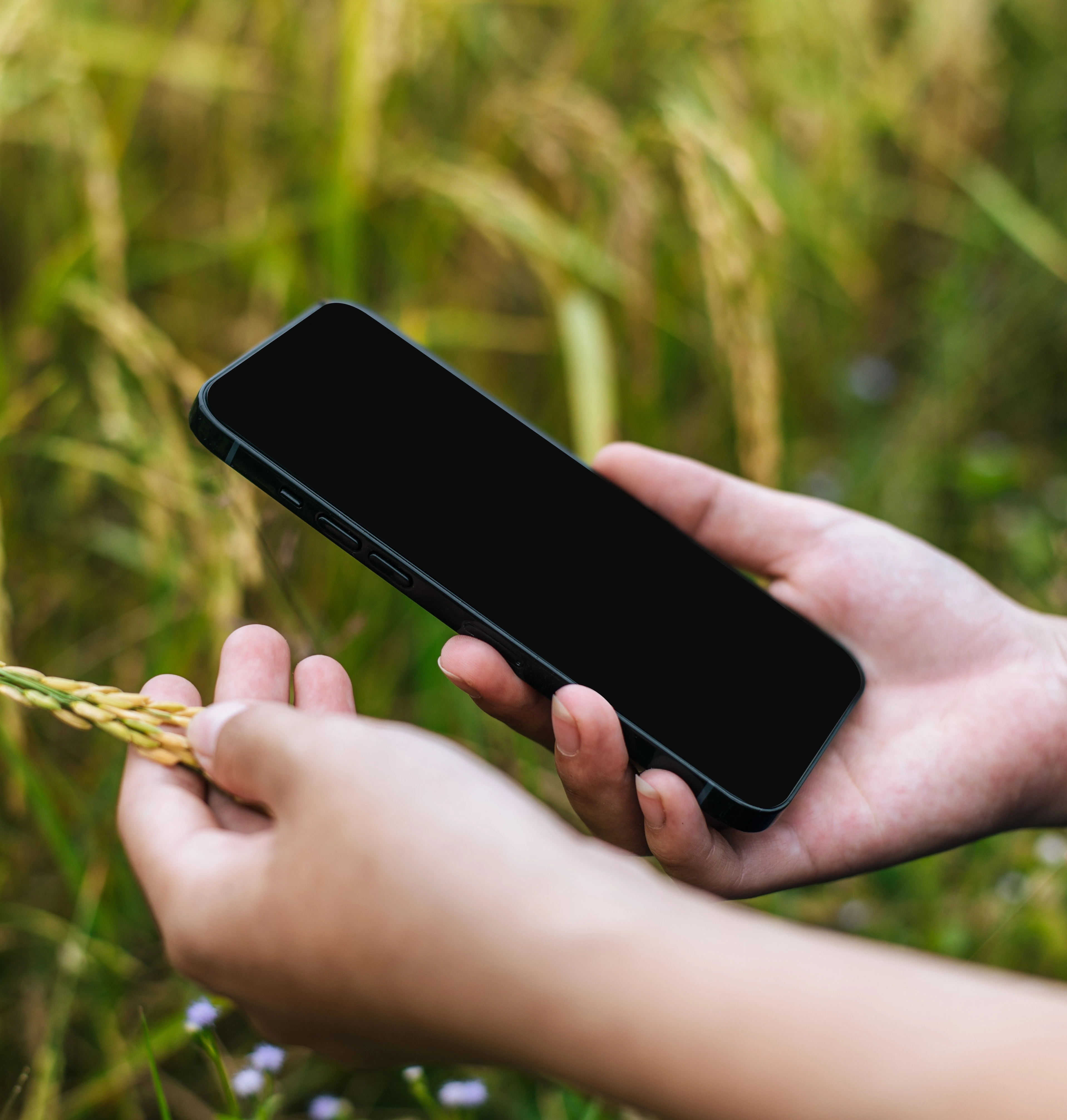 Konichiva Support Team